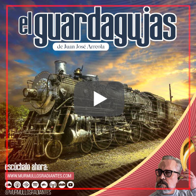 El guardagujas