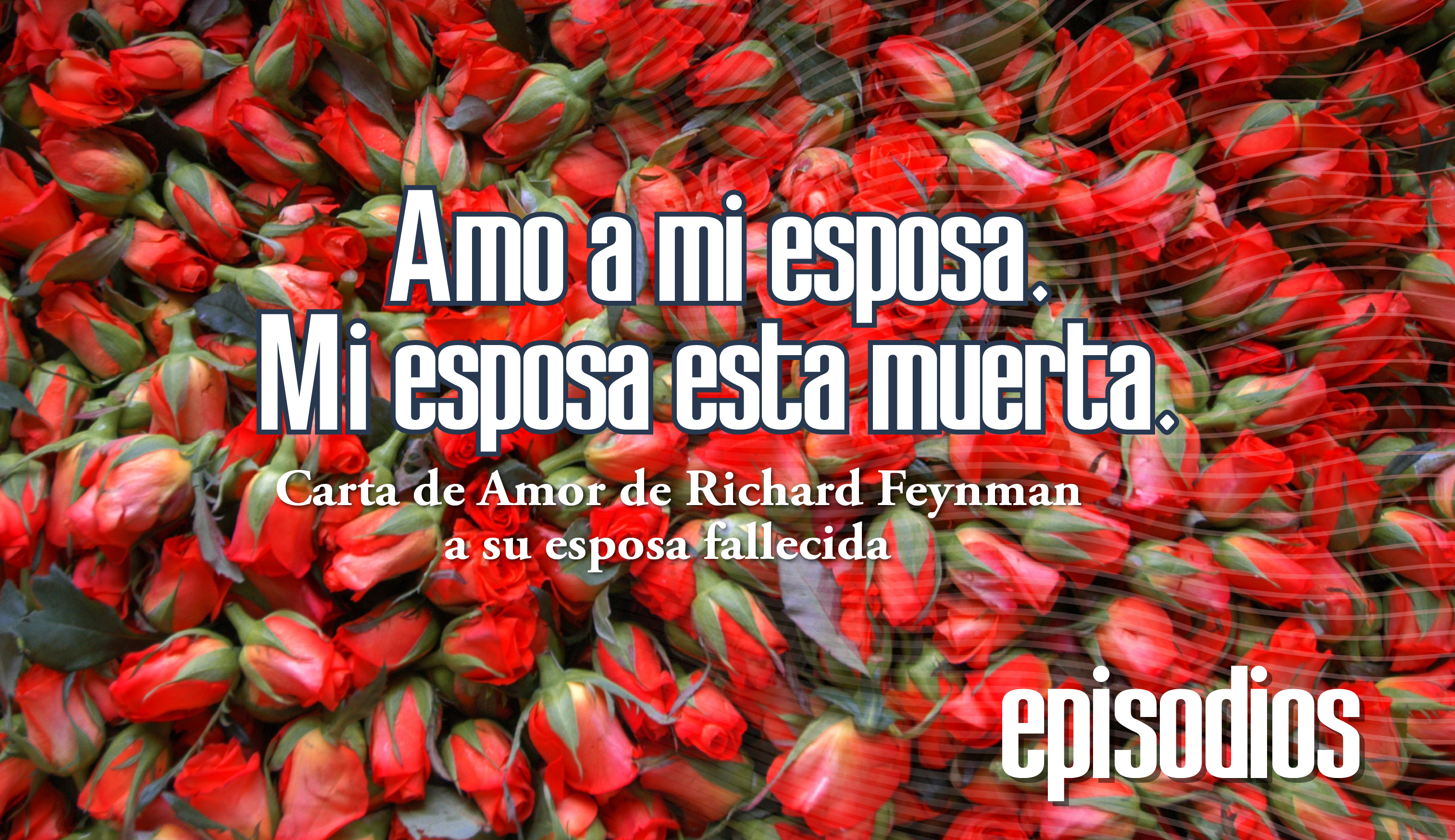 img_carta de amor